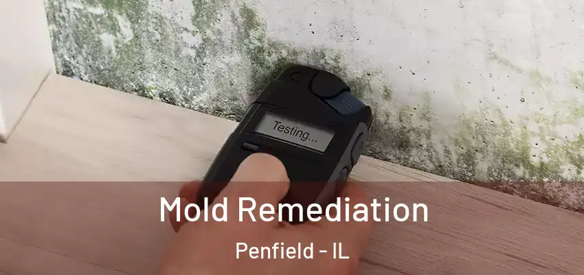  Mold Remediation Penfield - IL