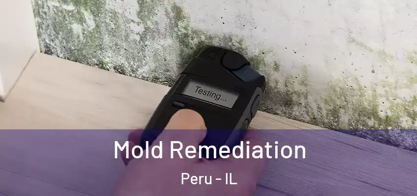  Mold Remediation Peru - IL