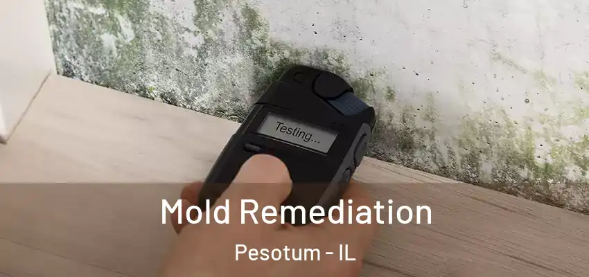  Mold Remediation Pesotum - IL