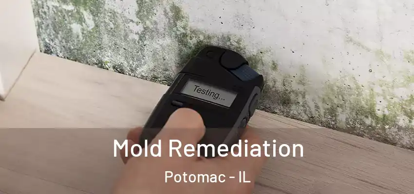  Mold Remediation Potomac - IL