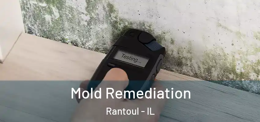  Mold Remediation Rantoul - IL