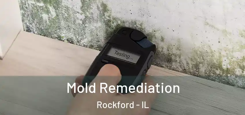  Mold Remediation Rockford - IL