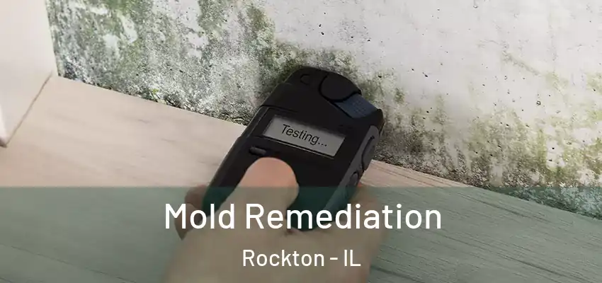  Mold Remediation Rockton - IL