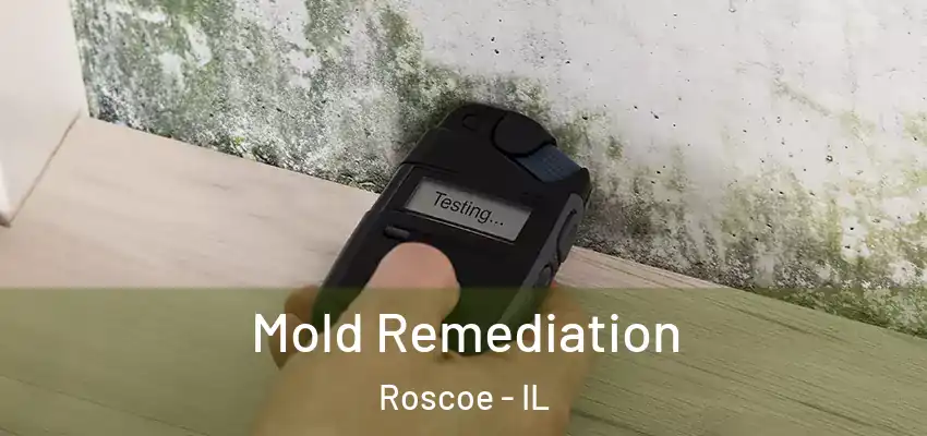 Mold Remediation Roscoe - IL