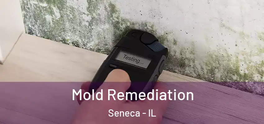  Mold Remediation Seneca - IL