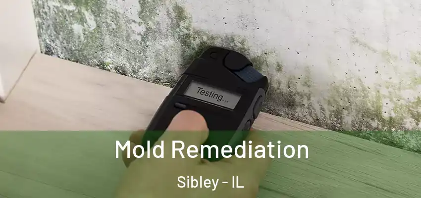  Mold Remediation Sibley - IL