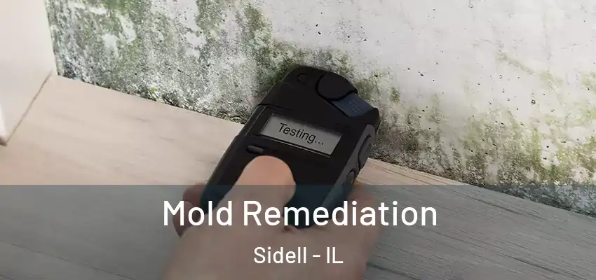 Mold Remediation Sidell - IL