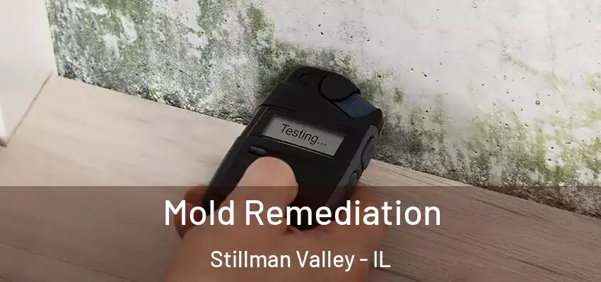 Mold Remediation Stillman Valley - IL