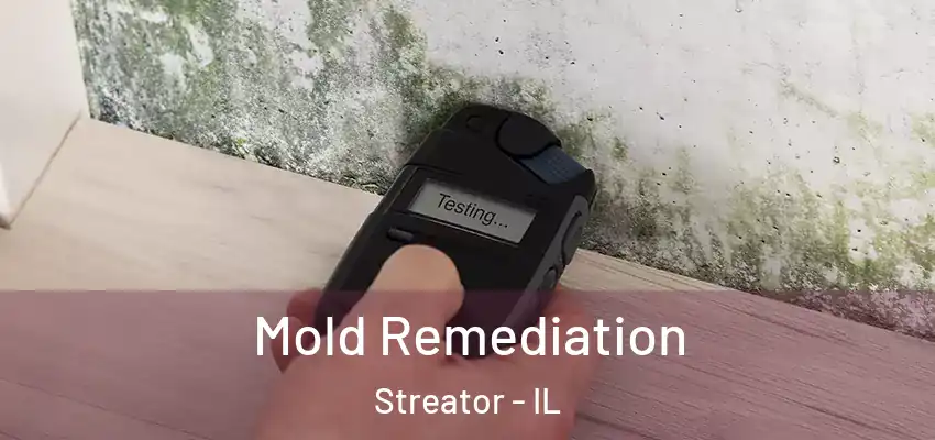  Mold Remediation Streator - IL