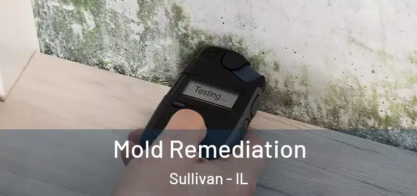  Mold Remediation Sullivan - IL