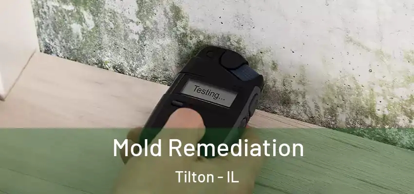 Mold Remediation Tilton - IL