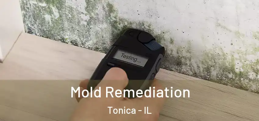  Mold Remediation Tonica - IL