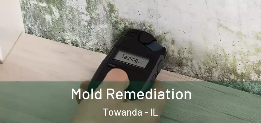  Mold Remediation Towanda - IL