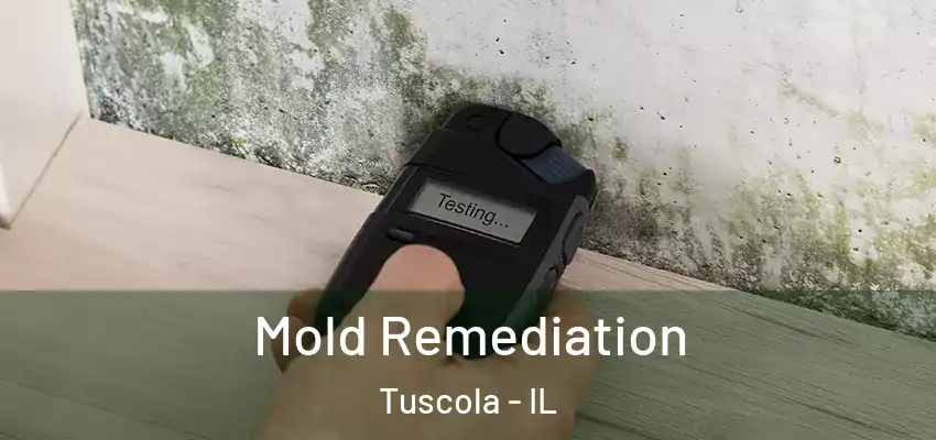  Mold Remediation Tuscola - IL
