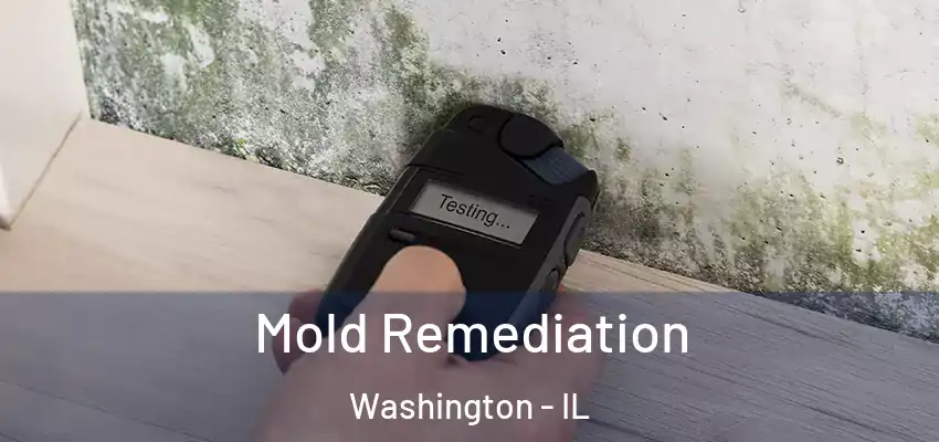  Mold Remediation Washington - IL