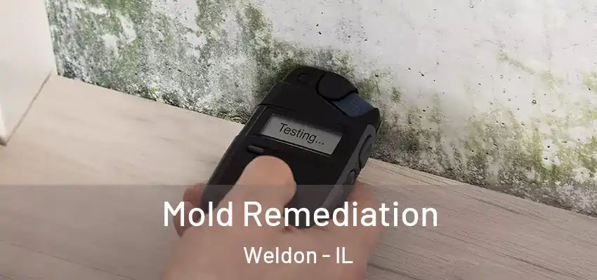  Mold Remediation Weldon - IL