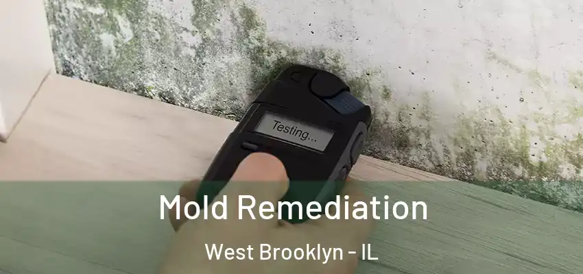  Mold Remediation West Brooklyn - IL