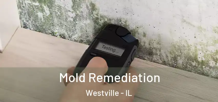  Mold Remediation Westville - IL