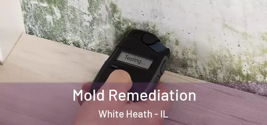  Mold Remediation White Heath - IL