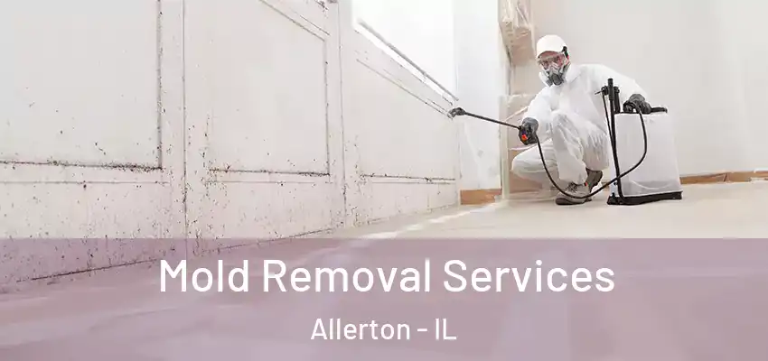  Mold Removal Services Allerton - IL