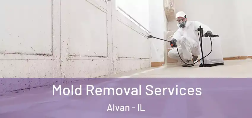 Mold Removal Services Alvan - IL