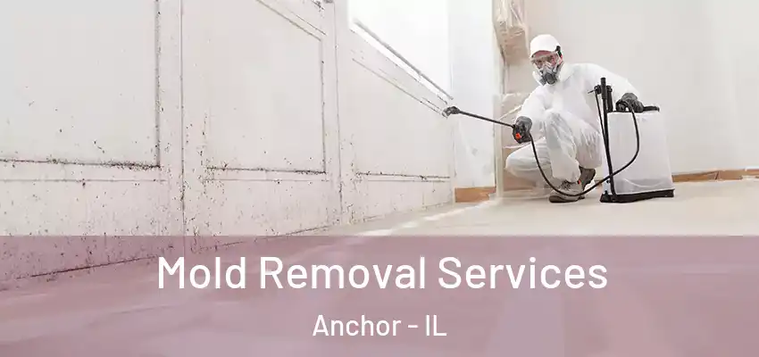 Mold Removal Services Anchor - IL