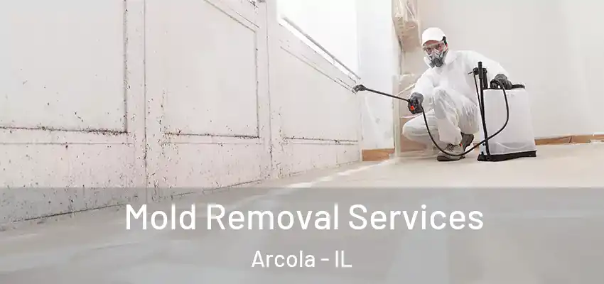 Mold Removal Services Arcola - IL