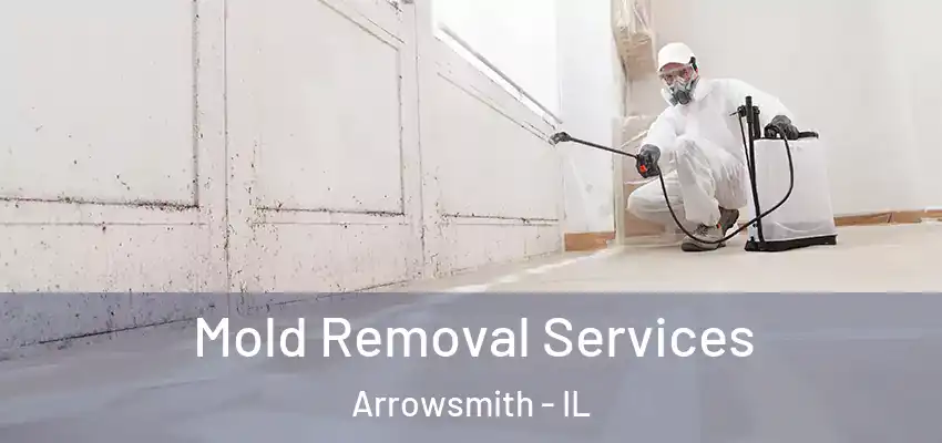  Mold Removal Services Arrowsmith - IL