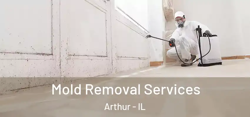 Mold Removal Services Arthur - IL