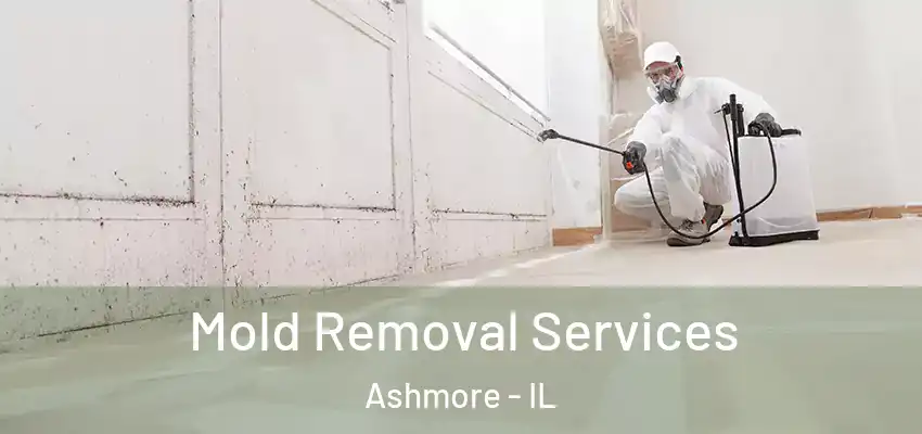 Mold Removal Services Ashmore - IL