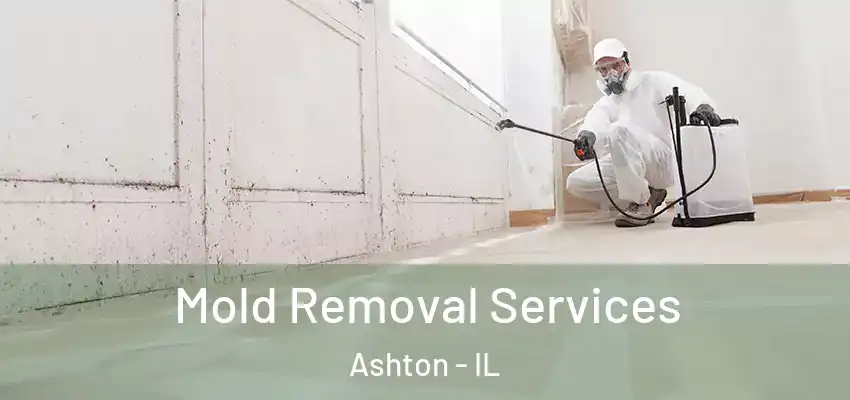  Mold Removal Services Ashton - IL