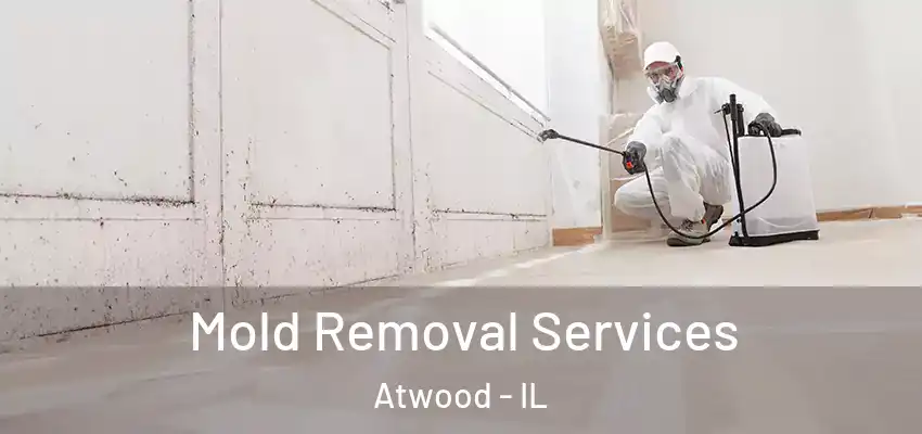  Mold Removal Services Atwood - IL