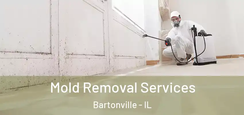  Mold Removal Services Bartonville - IL