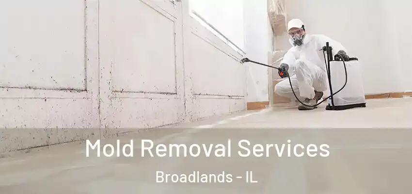  Mold Removal Services Broadlands - IL