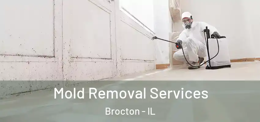  Mold Removal Services Brocton - IL