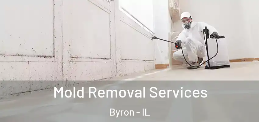  Mold Removal Services Byron - IL