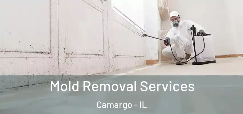  Mold Removal Services Camargo - IL