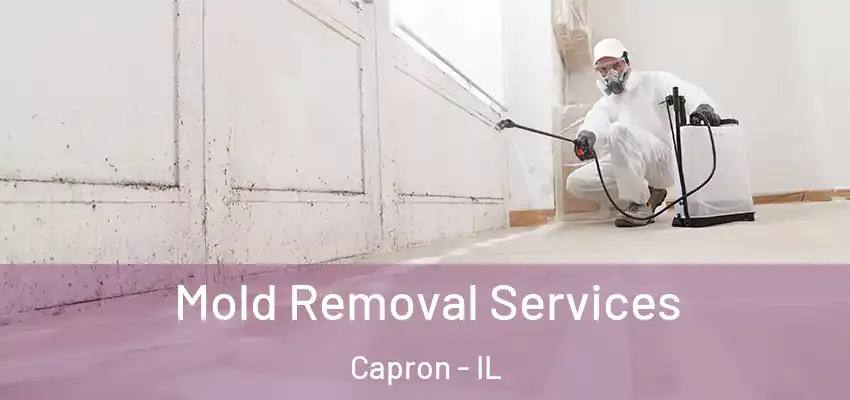  Mold Removal Services Capron - IL