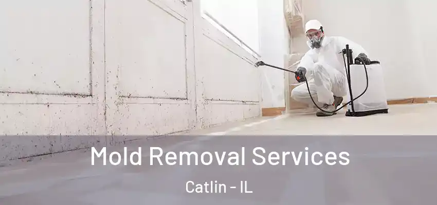  Mold Removal Services Catlin - IL