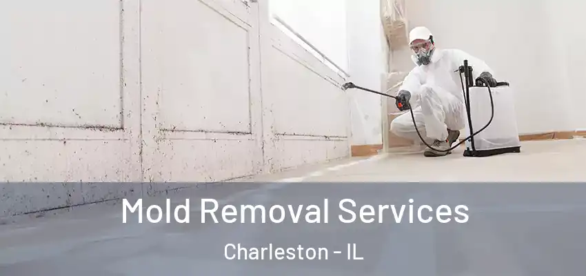  Mold Removal Services Charleston - IL