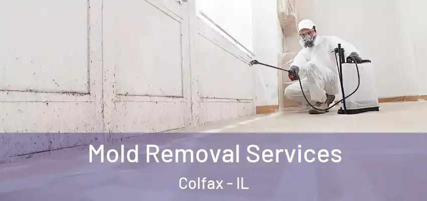 Mold Removal Services Colfax - IL