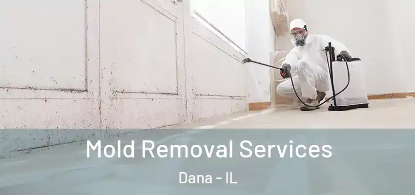  Mold Removal Services Dana - IL