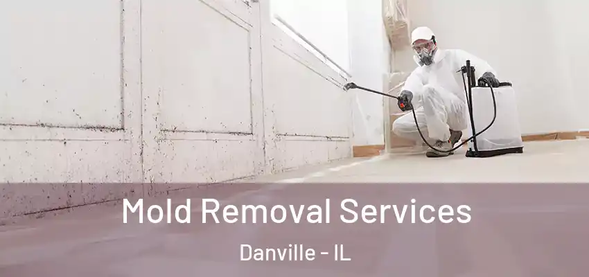  Mold Removal Services Danville - IL