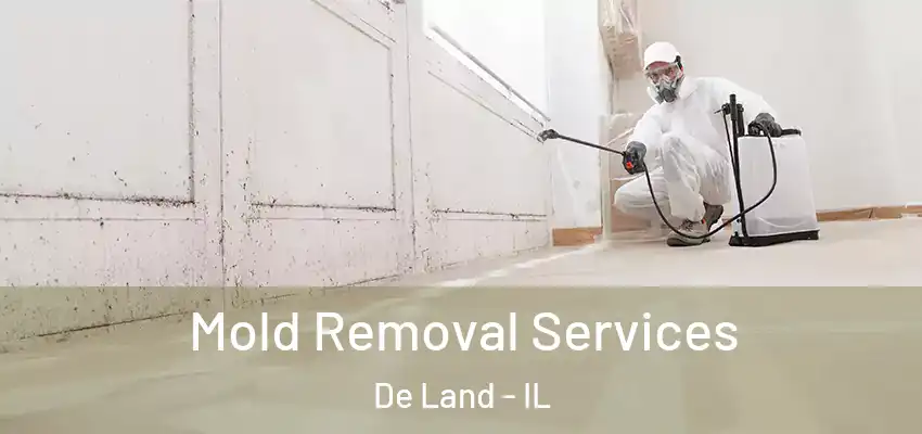  Mold Removal Services De Land - IL