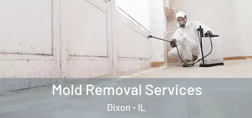  Mold Removal Services Dixon - IL