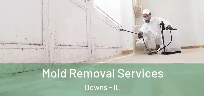  Mold Removal Services Downs - IL
