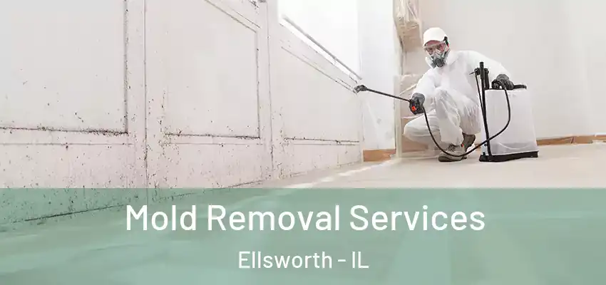  Mold Removal Services Ellsworth - IL