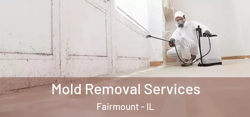  Mold Removal Services Fairmount - IL