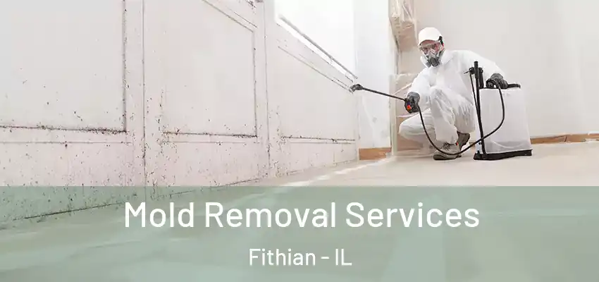 Mold Removal Services Fithian - IL