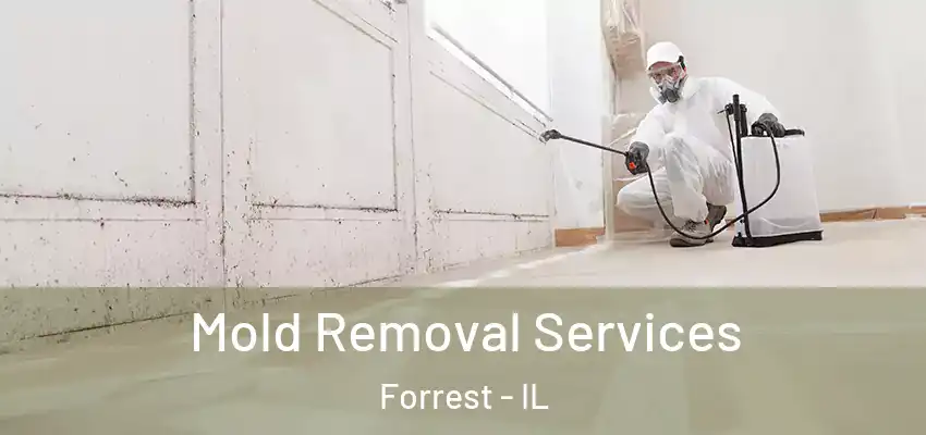  Mold Removal Services Forrest - IL